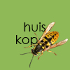 huis kopen