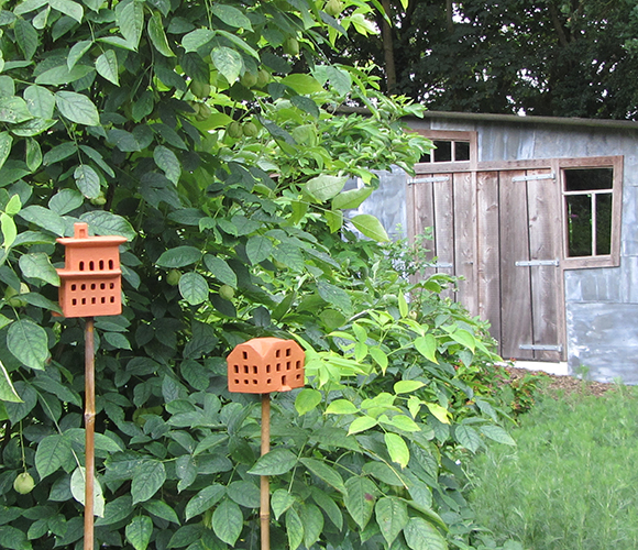 insectendorp jan wilde een tuin westerlee